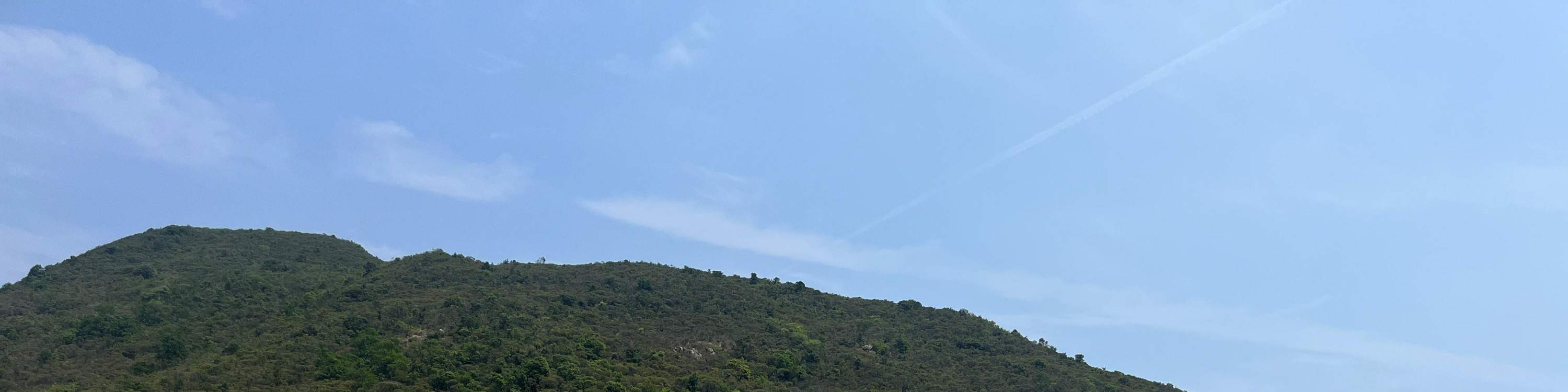 Kafe@WM di WM Hotel di Hong Kong | Prasmanan setengah makan siang, Prasmanan Brunch, Prasmanan Makan Malam